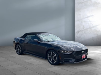 2025 Ford Mustang EcoBoost Premium